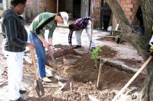 Equipe de Saúde da Família Modelo é pioneira no cultivo de plantas medicinais