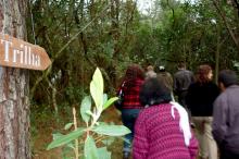 Visitantes podem caminhar por trilhas com at� 45 minutos de dura��o 