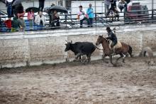 Provas campeiras serão mediante regulamento e parâmetros do MTG