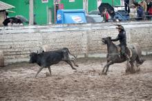 Tiros de laço premiarão os melhores cavaleiros em três competições
