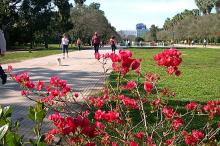 Semana da Primavera terá shows gratuitos no aniversário do parque