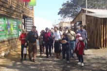 Caminhadas Turísticas no Parque Harmonia começam segunda-feira