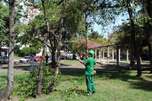 Remo��es e podas no bairro Santana protegem cidad�os e rede el�trica