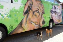 Unidade M�vel I do Projeto Bicho Amigo atua na prote��o dos animais