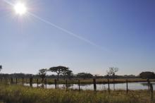 Atividade deve qualificar visitas educativas orientadas na Reserva do Lami