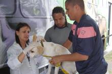 Ônibus recebe animais de comunidades em situação de vulnerabilidade social