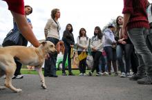 Turma do Colégio Aplicaçãovisitou Área de Medicina Veterinária da Seda