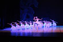 Segundo ato do Lago dos Cisnes será apresentado pelo Ballet Vera Bublitz