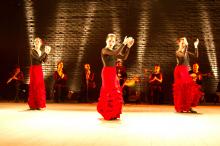 Grupo de dança flamenca de Silvia Canarim transpõe obra de Lorca 