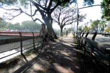 Cerca de 300 ciclistas utilizam a ciclovia da Ipiranga entre 15h e 19h 