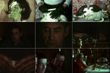 A mostra, concebida para a Pinacoteca, apresenta uma s�rie de ensaios visuais